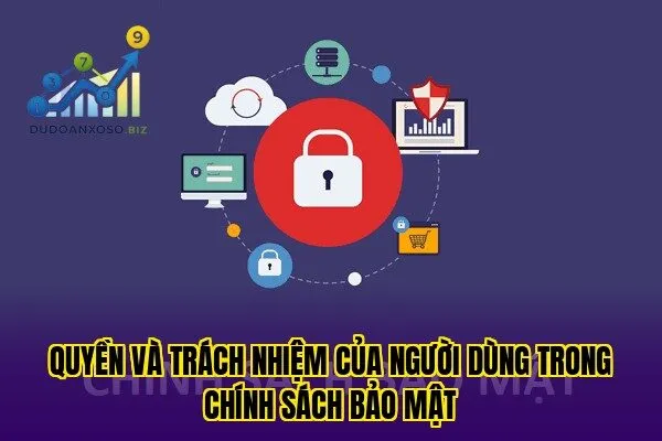 quyền và trách nhiệm của người dùng trong chính sách bảo mật