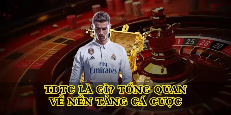 TDTC Là Gì? Tổng Quan Về Nền Tảng Cá Cược