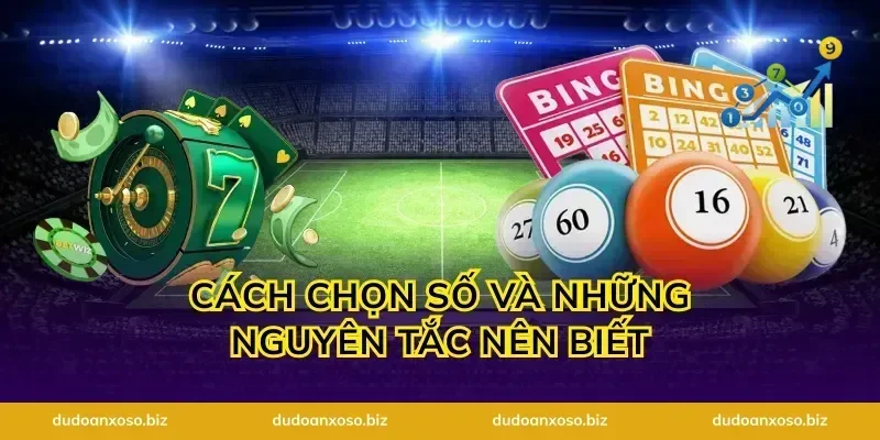 Cách chọn số và những nguyên tắc nên biết