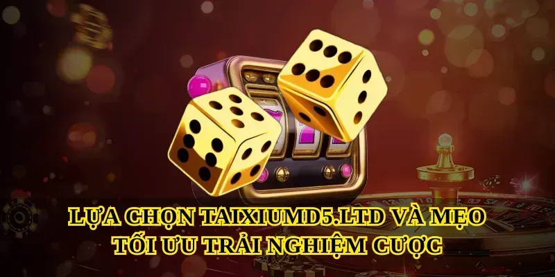 lua-chon-taixiumd5-ltd-va-meo-toi-uu-trai-nghiem-cuoc